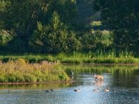 Naturschutzgebiet Steinhorster Becken © Reinhard Rohlf